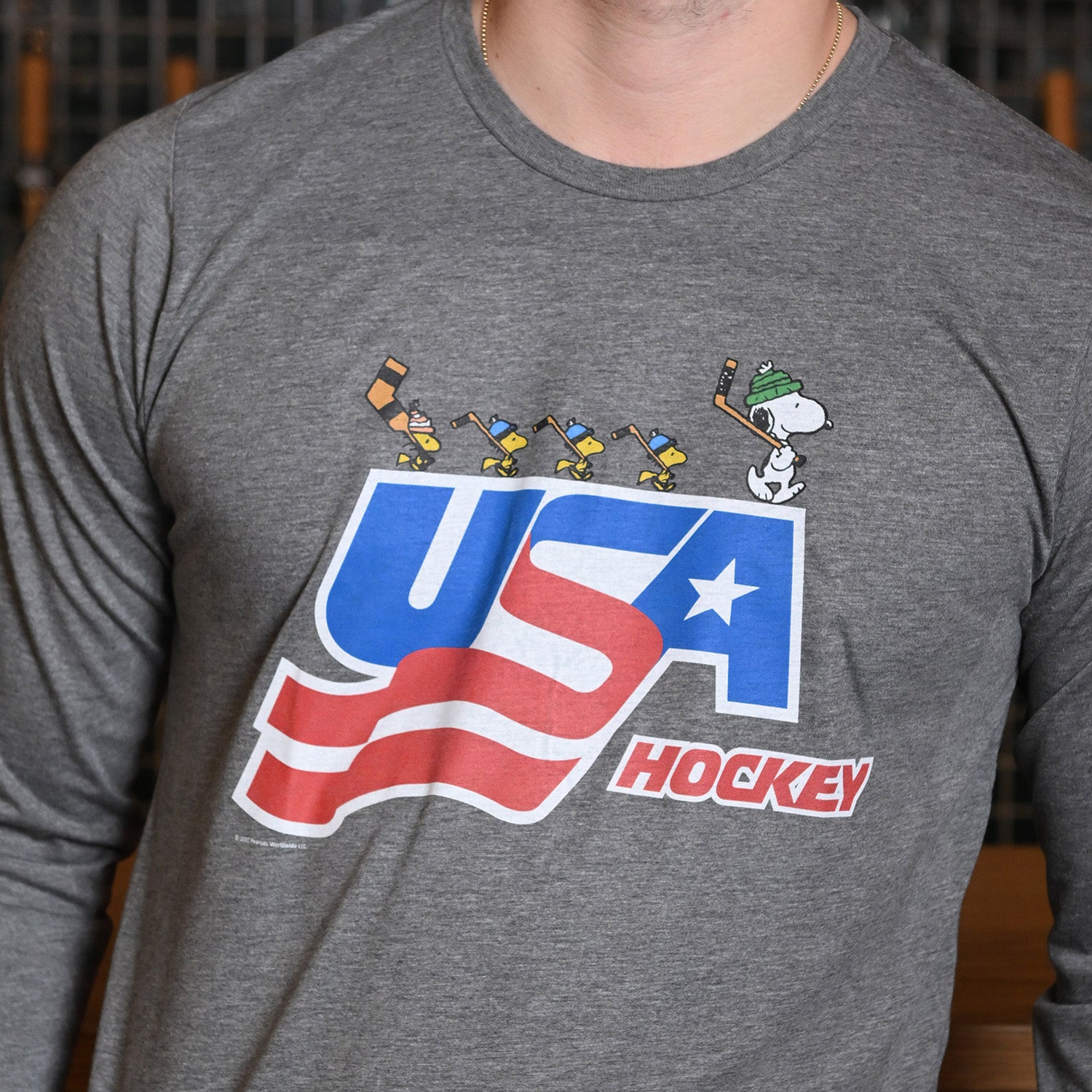 Peanuts Usa Hockey Offseason Surf 2023 Shirt, hoodie, longsleeve, sweatshirt,  v-neck tee